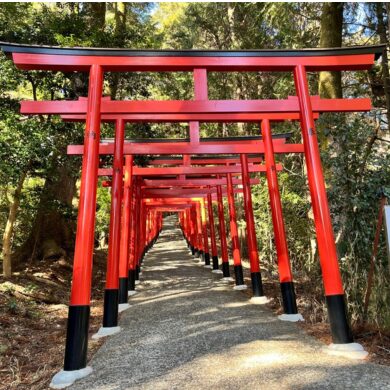 安富サイクリング赤鳥居