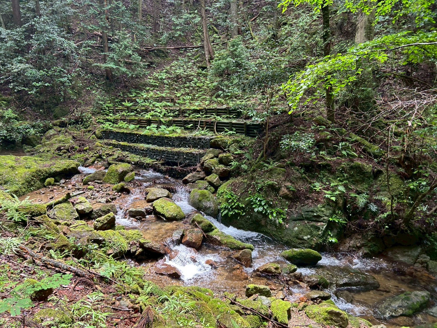 清らかな水が流れる鹿ヶ壺